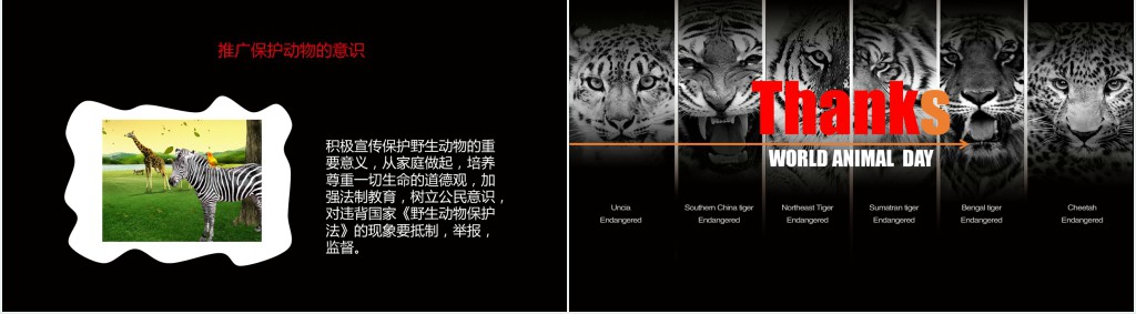 黑色保护濒危野生动物PPT课件 黑色保护濒危野生动物PPT课件