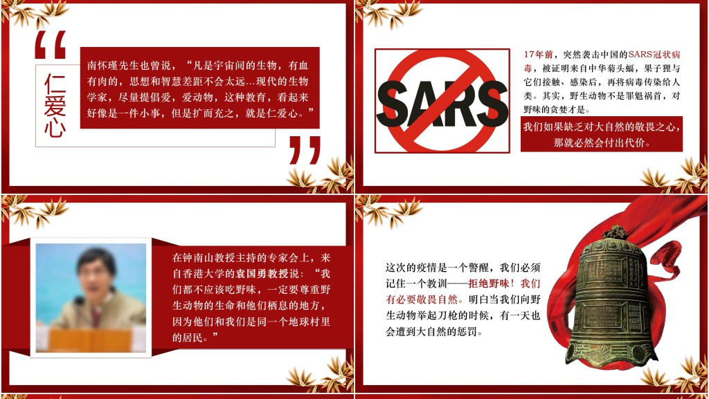 党政风抗击疫情过后感言PPT模板 党政风抗击疫情过后感言PPT模板