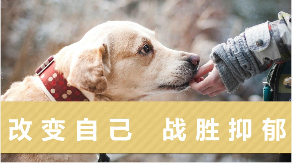大学生抑郁症PPT课件 大学生抑郁症PPT课件