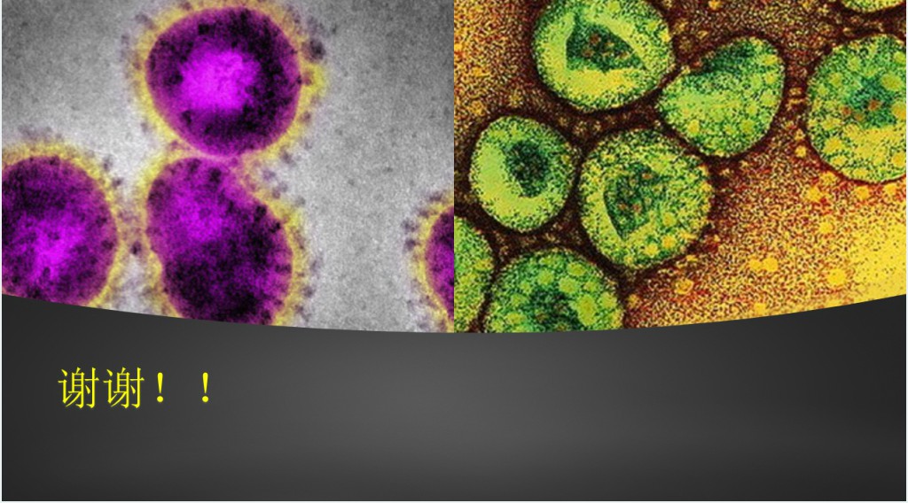 新冠肺炎诊疗试行方案PPT模板