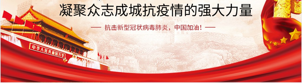 党政风抗击疫情主题PPT党课