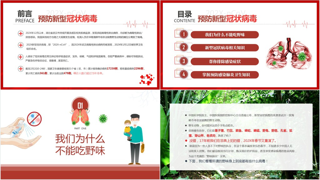 简洁预防新冠肺炎与野生动物健康知识PPT模板 简洁预防新冠肺炎与野生动物健康知识PPT模板