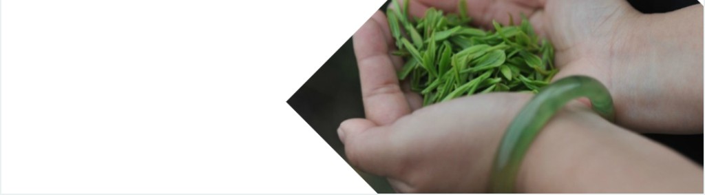 古风茶道茶文化公司介绍PPT模板 古风茶道茶文化公司介绍PPT模板