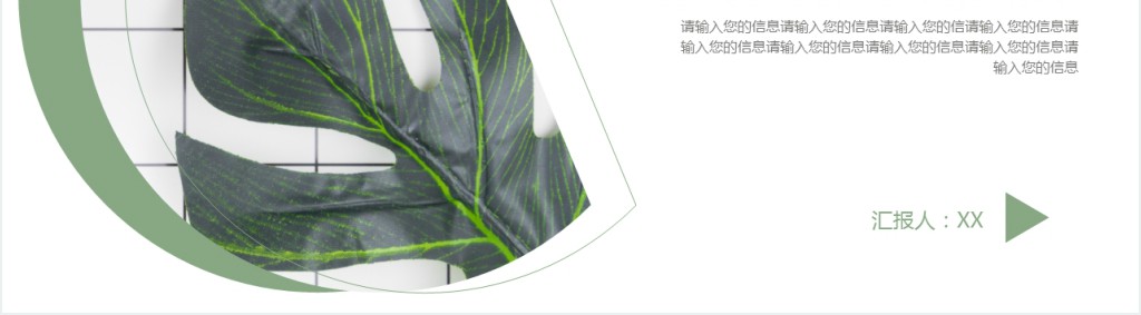 龟背花卉背景第一季度工作总结PPT模板 龟背花卉背景第一季度工作总结PPT模板