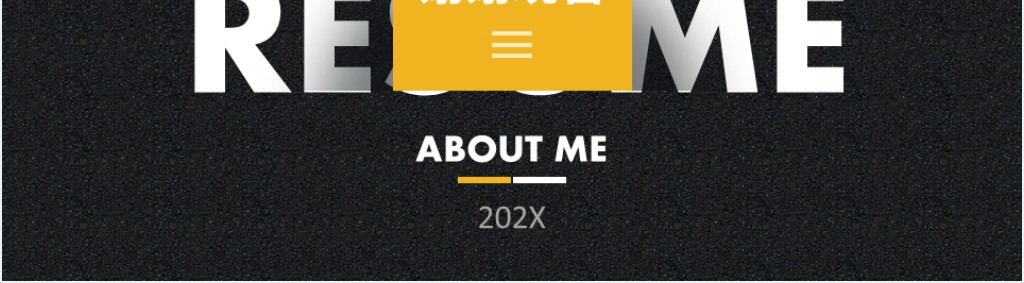 BD合作经理个人简历PPT模板