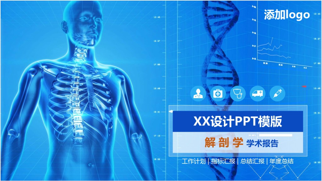 解剖学专业研究生答辩PPT模板截图