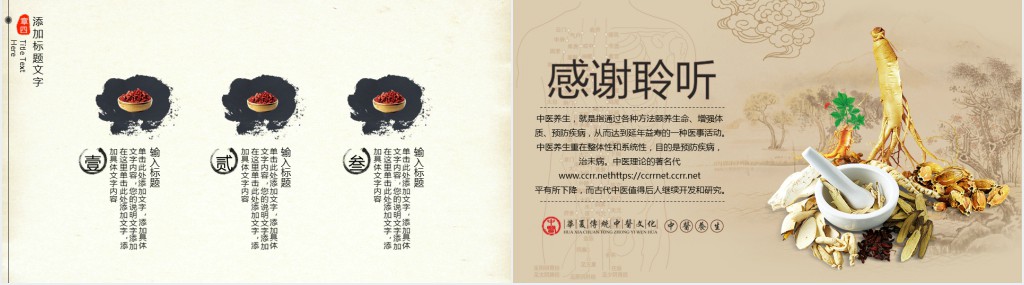 中医文化宣传周活动总结PPT模板 中医文化宣传周活动总结PPT模板