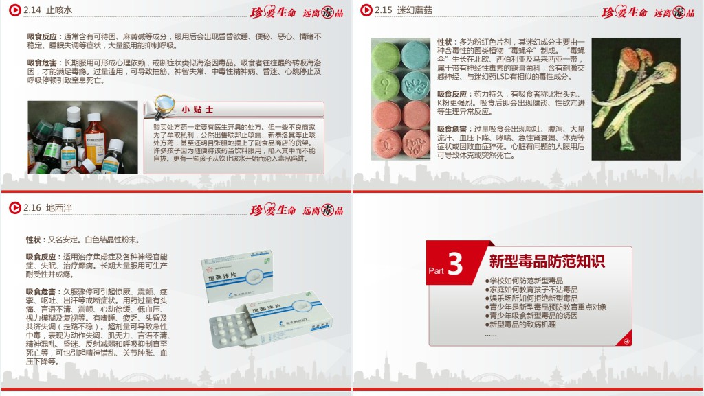 免费青少年禁毒知识宣传PPT课件