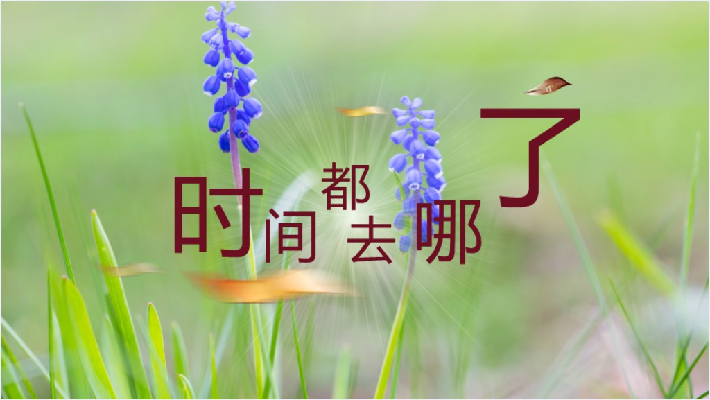 教师时间都去哪了PPT模板截图