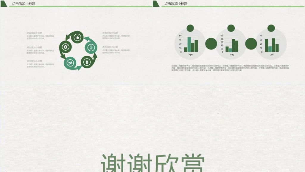 多肉植物背景培训学习PPT模板