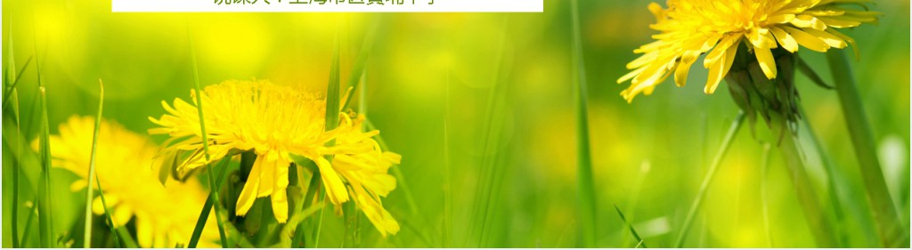 适合中学说课PPT模板