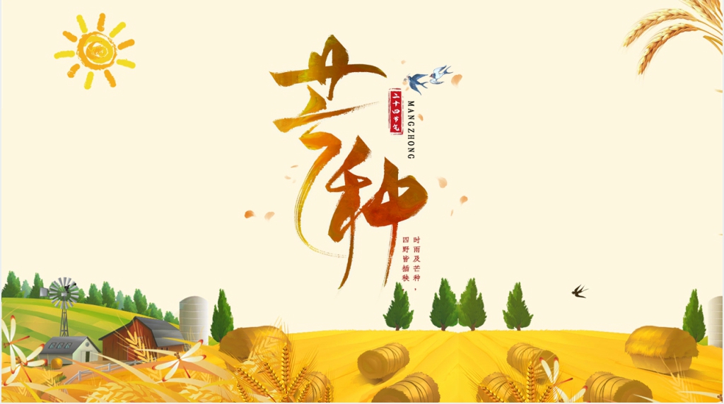 黄色芒种节气PPT模板 黄色芒种节气PPT模板