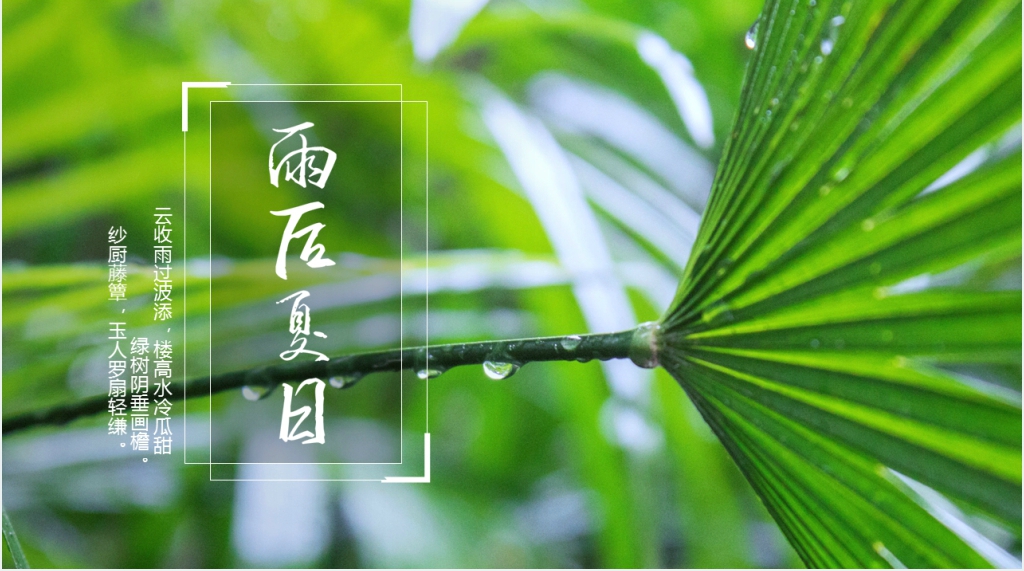 绿色雨后夏日小清新旅行相册PPT模板