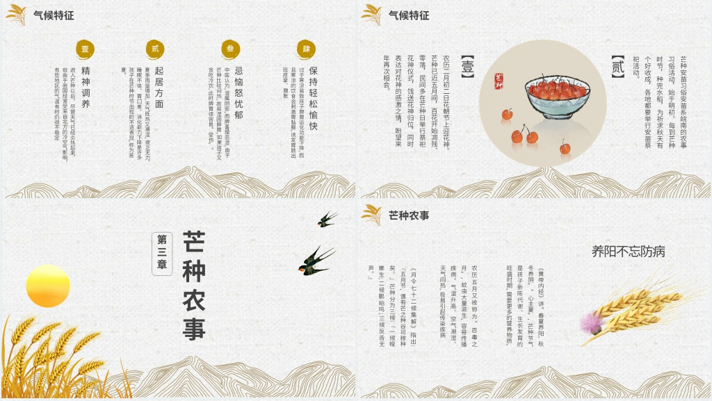 简洁介绍二十四节气芒种PPT模板 简洁介绍二十四节气芒种PPT模板