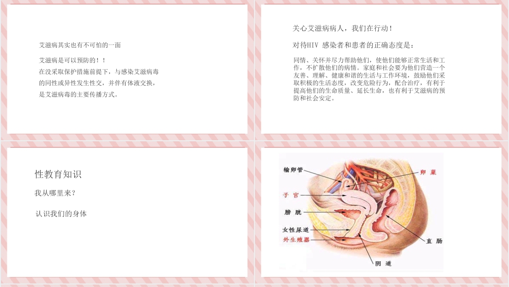 大学生艾滋病的防治和性教育PPT课件 大学生艾滋病的防治和性教育PPT课件