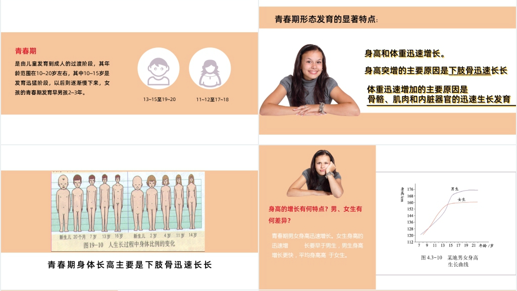 青春期发育科普PPT课件 青春期发育科普PPT课件