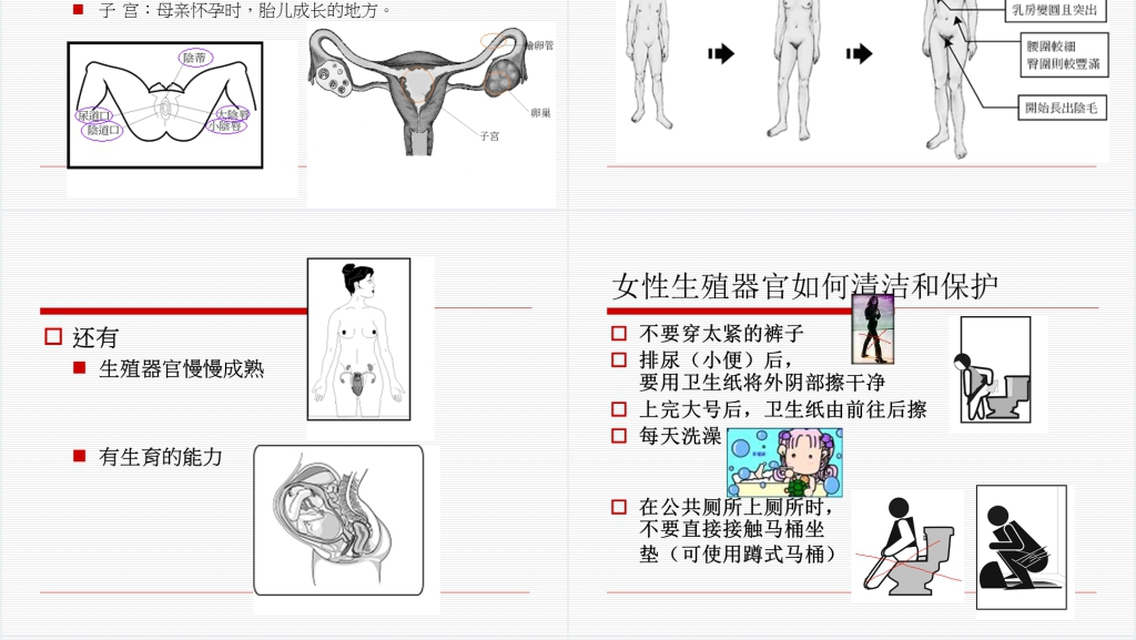 青春期早期性教育PPT课件 青春期早期性教育PPT课件