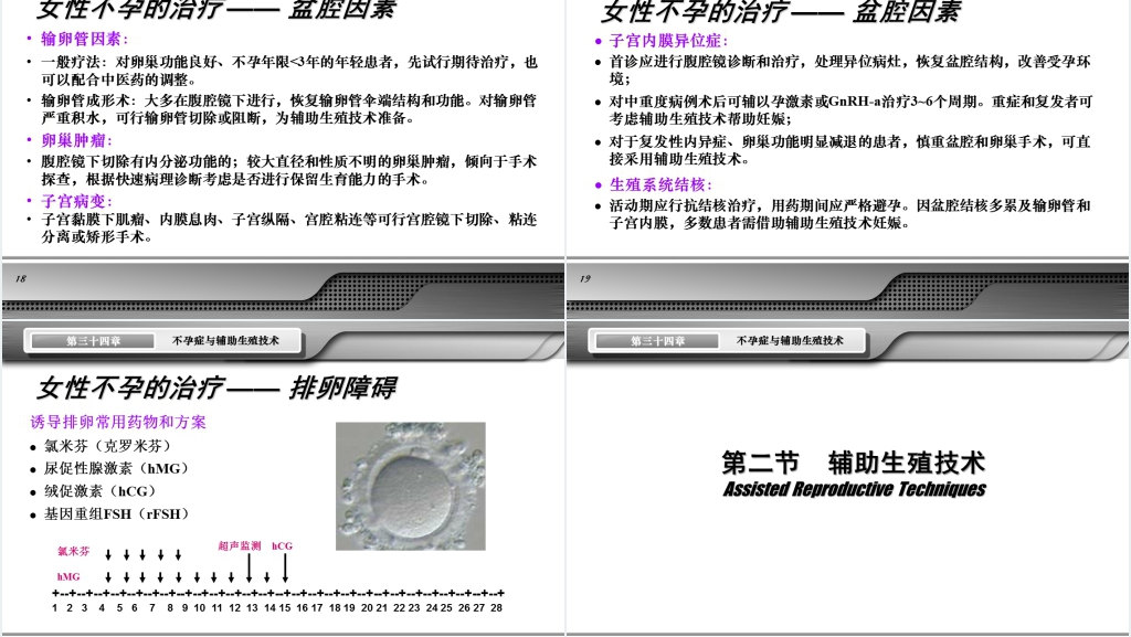 不孕症与辅助生殖技术讲稿PPT课件 不孕症与辅助生殖技术讲稿PPT课件