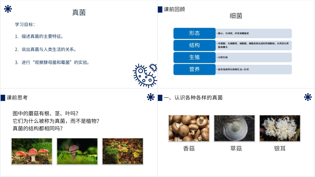 八年级初二上册《真菌》PPT课件 八年级初二上册《真菌》PPT课件