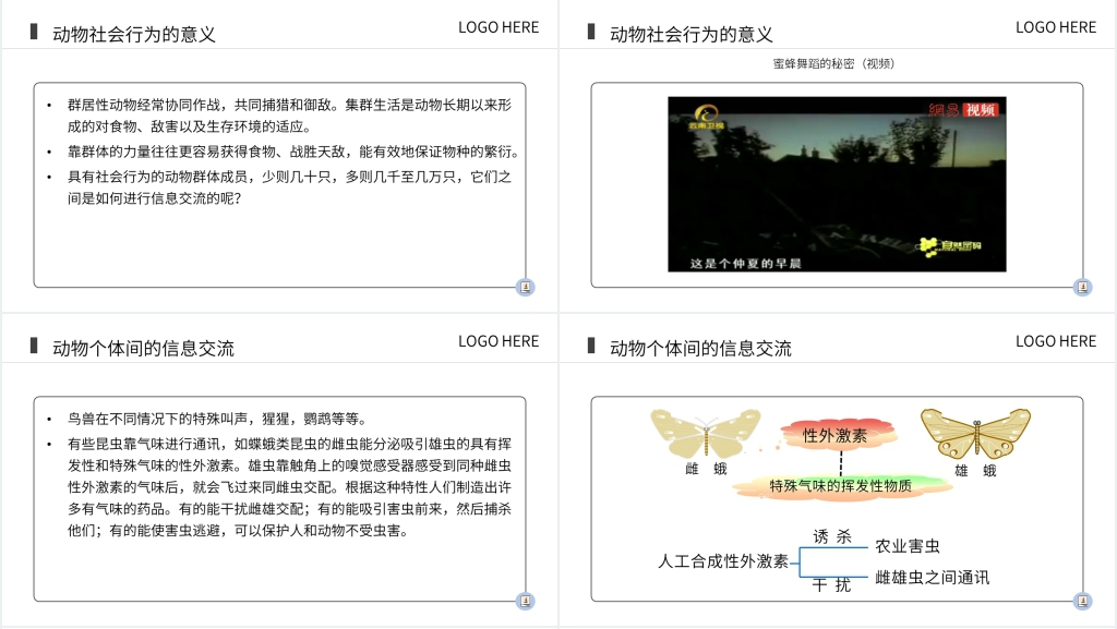 八年级初二上册《社会行为》PPT课件 八年级初二上册《社会行为》PPT课件