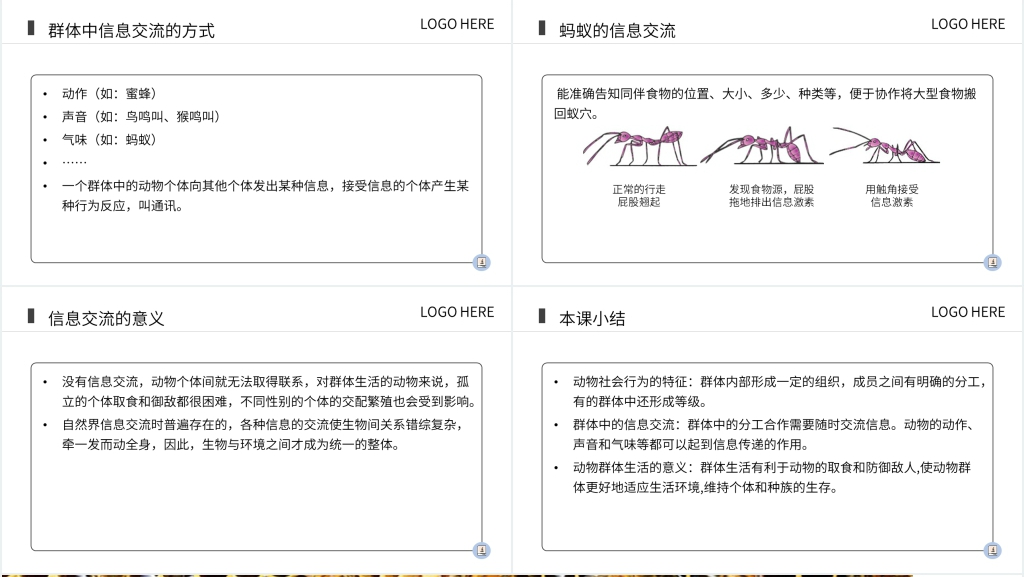 八年级初二上册《社会行为》PPT课件 八年级初二上册《社会行为》PPT课件