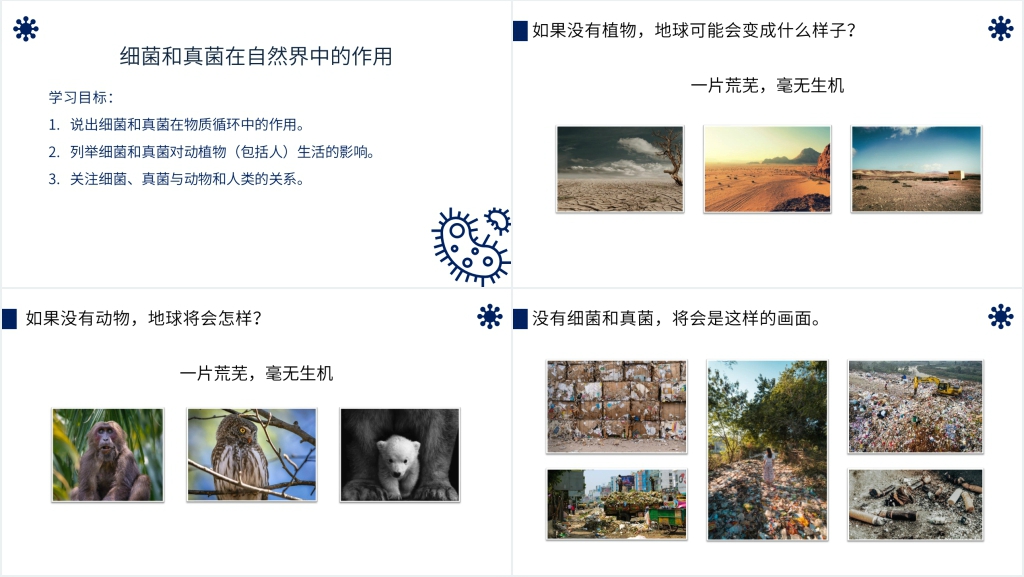 八年级初二上册《细菌和真菌在自然界中的作用》PPT课件 八年级初二上册《细菌和真菌在自然界中的作用》PPT课件
