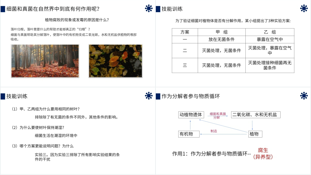 八年级初二上册《细菌和真菌在自然界中的作用》PPT课件 八年级初二上册《细菌和真菌在自然界中的作用》PPT课件