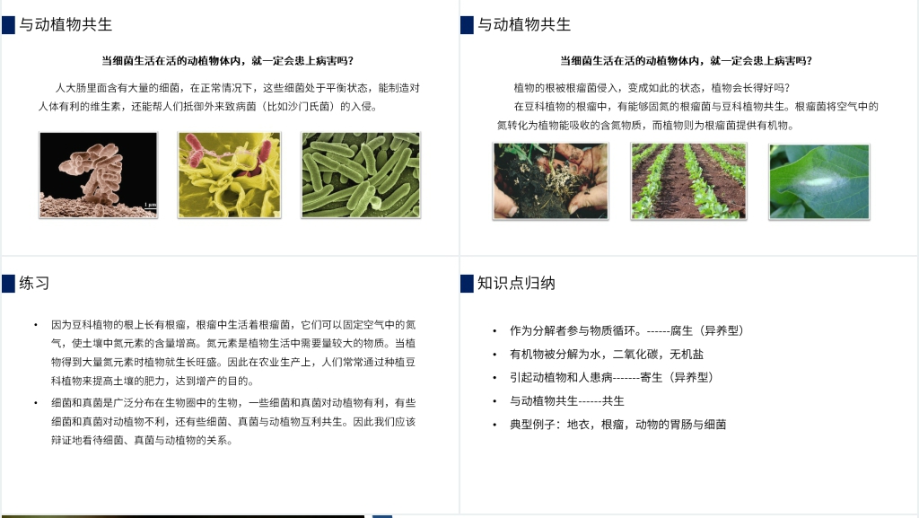 八年级初二上册《细菌和真菌在自然界中的作用》PPT课件 八年级初二上册《细菌和真菌在自然界中的作用》PPT课件