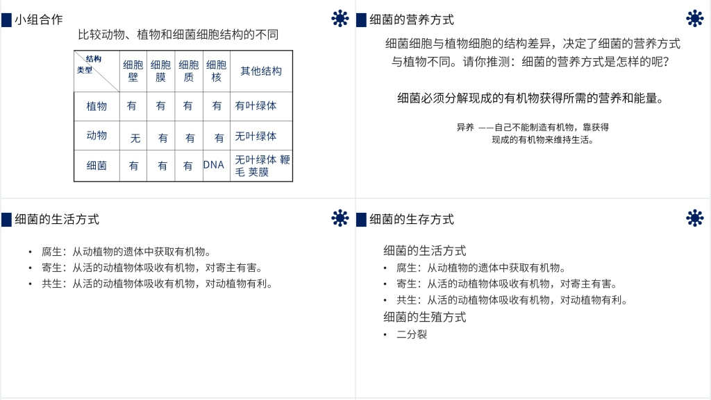 八年级初二上册《细菌》PPT课件 八年级初二上册《细菌》PPT课件