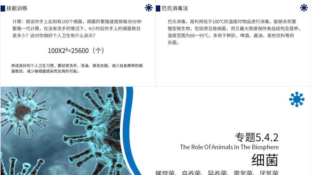 八年级初二上册《细菌》PPT课件 八年级初二上册《细菌》PPT课件