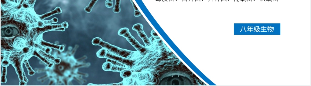 八年级初二上册《细菌》PPT课件 八年级初二上册《细菌》PPT课件