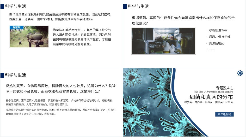 八年级初二上册《细菌和真菌的分布》PPT课件 八年级初二上册《细菌和真菌的分布》PPT课件