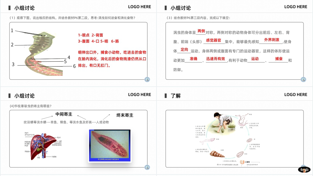 八年级初二上册《腔肠动物和扁形动物》PPT课件 八年级初二上册《腔肠动物和扁形动物》PPT课件