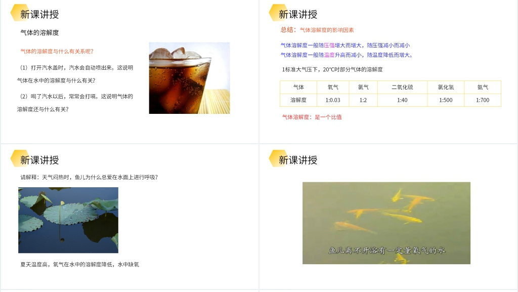 九年级初三下册《溶解度》第二课时PPT课件 九年级初三下册《溶解度》第二课时PPT课件