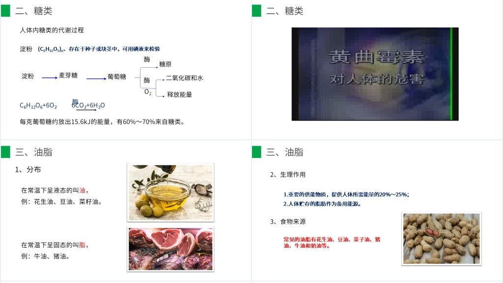 九年级初三下册《人类重要的营养物质》PPT课件 九年级初三下册《人类重要的营养物质》PPT课件
