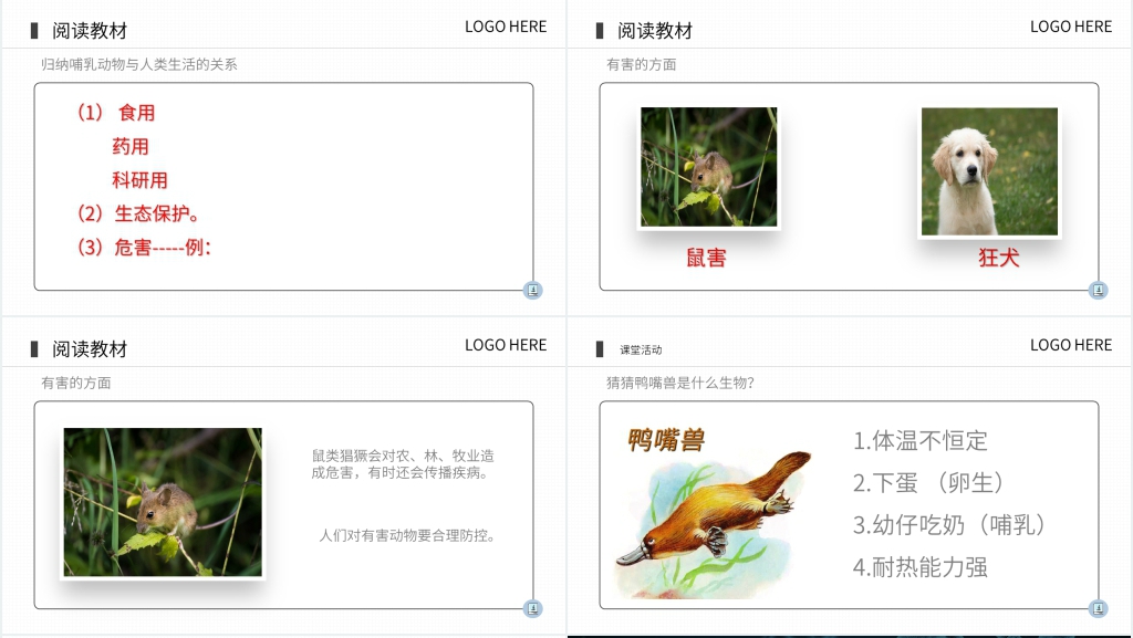 八年级初二上册《哺乳动物》PPT课件