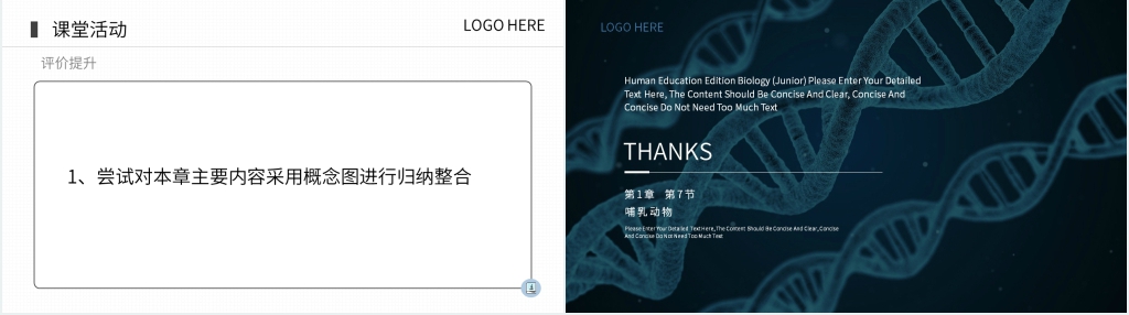 八年级初二上册《哺乳动物》PPT课件