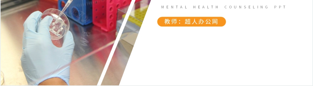 人教版高二化学选修4《影响化学反应速率的因素》教案PPT课件 人教版高二化学选修4《影响化学反应速率的因素》教案PPT课件