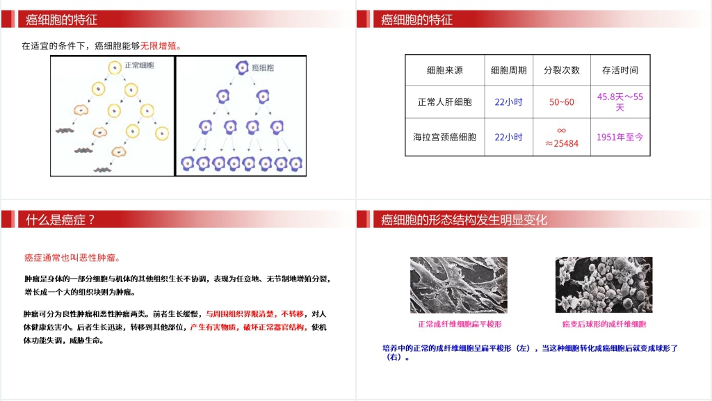 人教版必修高一生物《细胞的癌变》PPT课件 人教版必修高一生物《细胞的癌变》PPT课件