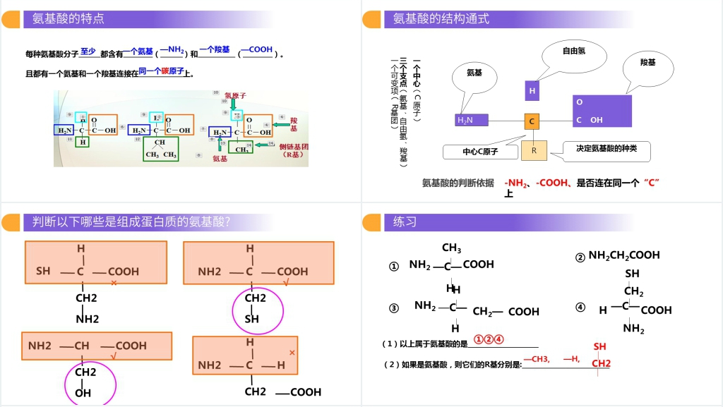 人教版必修高一生物《生命活动的主要承担者(蛋白质)》PPT课件 人教版必修高一生物《生命活动的主要承担者(蛋白质)》PPT课件