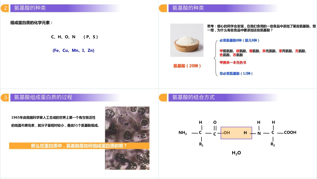 人教版必修高一生物《生命活动的主要承担者(蛋白质)》PPT课件 人教版必修高一生物《生命活动的主要承担者(蛋白质)》PPT课件
