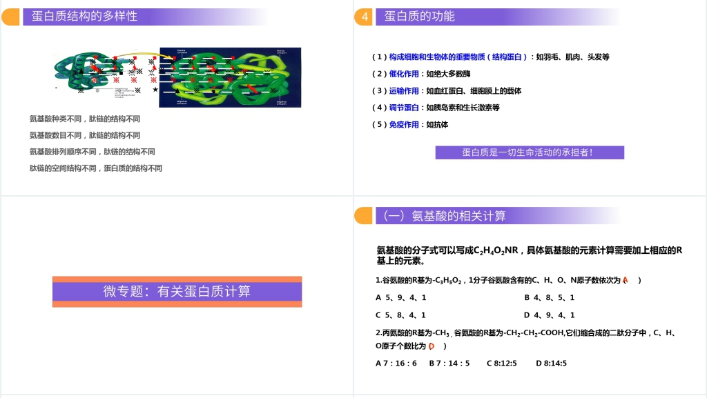 人教版必修高一生物《生命活动的主要承担者(蛋白质)》PPT课件 人教版必修高一生物《生命活动的主要承担者(蛋白质)》PPT课件