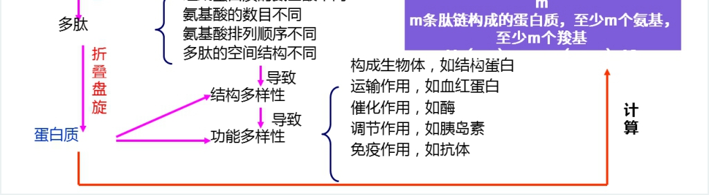 人教版必修高一生物《生命活动的主要承担者(蛋白质)》PPT课件 人教版必修高一生物《生命活动的主要承担者(蛋白质)》PPT课件