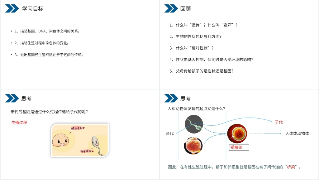 人教版初中生物八年级初二下册《生物的遗传和变异(基因在亲子代间的传递)》PPT课件 人教版初中生物八年级初二下册《生物的遗传和变异(基因在亲子代间的传递)》PPT课件