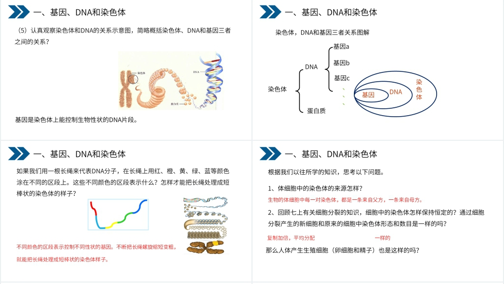 人教版初中生物八年级初二下册《生物的遗传和变异(基因在亲子代间的传递)》PPT课件 人教版初中生物八年级初二下册《生物的遗传和变异(基因在亲子代间的传递)》PPT课件