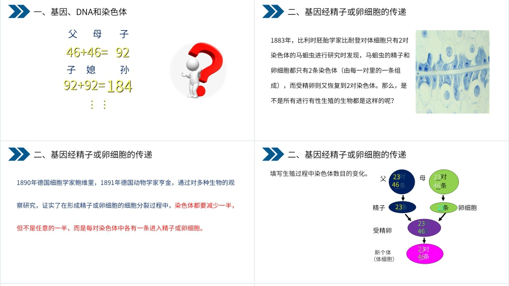 人教版初中生物八年级初二下册《生物的遗传和变异(基因在亲子代间的传递)》PPT课件 人教版初中生物八年级初二下册《生物的遗传和变异(基因在亲子代间的传递)》PPT课件