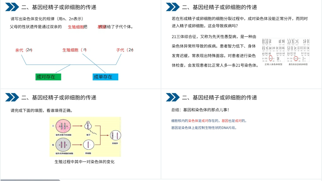 人教版初中生物八年级初二下册《生物的遗传和变异(基因在亲子代间的传递)》PPT课件 人教版初中生物八年级初二下册《生物的遗传和变异(基因在亲子代间的传递)》PPT课件