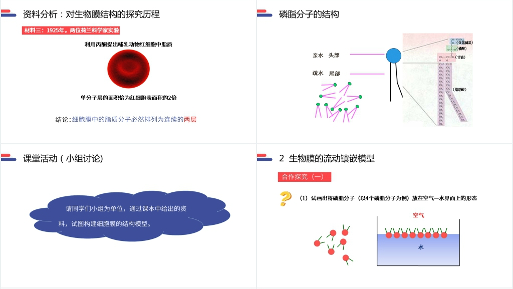 人教版必修高一生物《生物膜的流动镶嵌模型》讲解PPT课件 人教版必修高一生物《生物膜的流动镶嵌模型》讲解PPT课件
