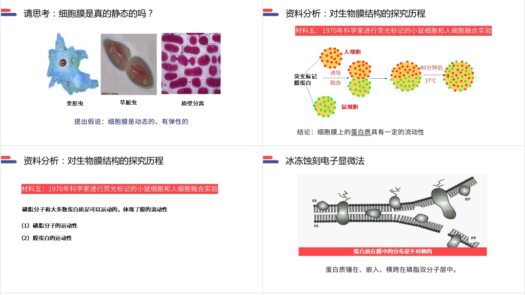 人教版必修高一生物《生物膜的流动镶嵌模型》讲解PPT课件 人教版必修高一生物《生物膜的流动镶嵌模型》讲解PPT课件