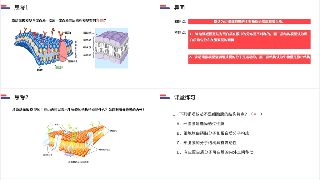人教版必修高一生物《生物膜的流动镶嵌模型》讲解PPT课件 人教版必修高一生物《生物膜的流动镶嵌模型》讲解PPT课件